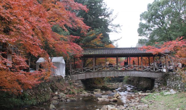 三原市-三原市佛通寺と紅葉 三原市-三原市佛通寺と紅葉