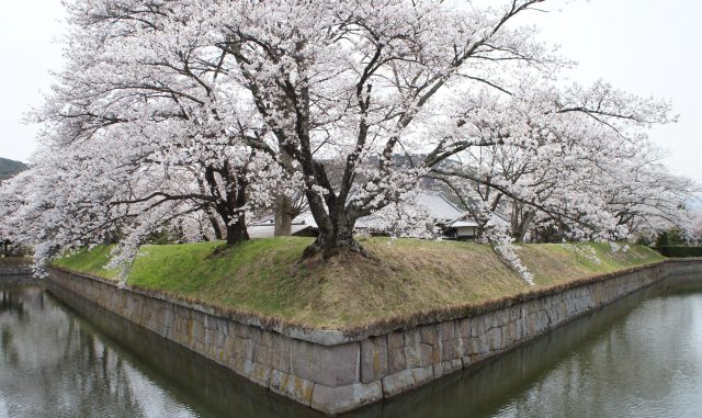 (佐久市)龍岡城-信州の五稜郭 (佐久市)龍岡城-信州の五稜郭