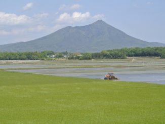 筑西市-筑波山と田