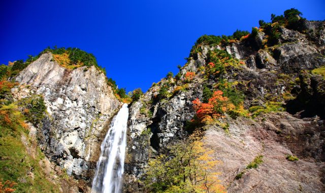 (白山市)白山-白山 白川郷ホワイトロード (白山市)白山-白山 白川郷ホワイトロード