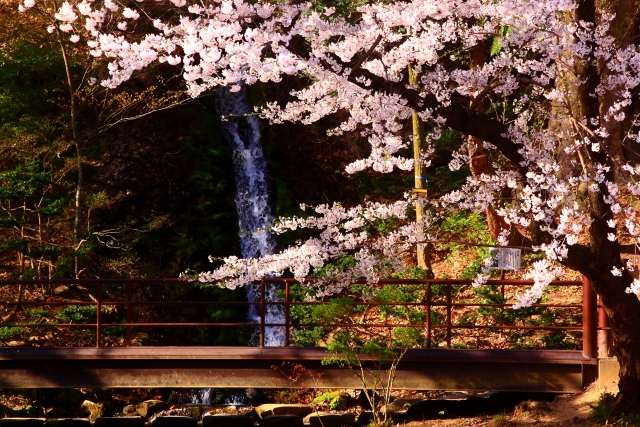 須坂市－（臥竜公園）桜と小さな滝