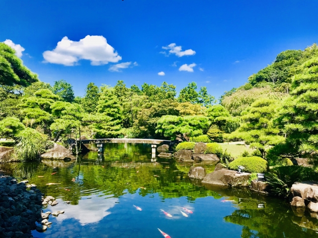 姫路－好古園の池と鯉