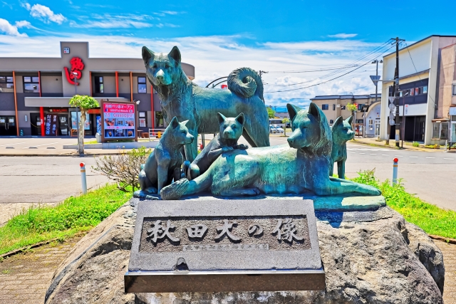 大館市－秋田県・大館駅前の秋田犬の像