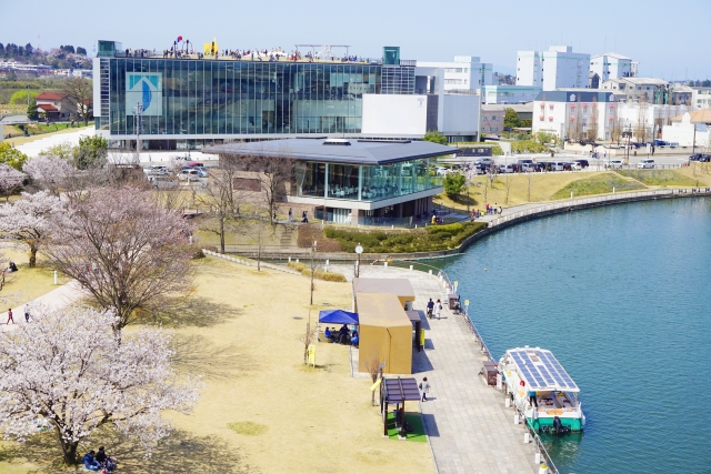 女性必見 富山市で当たると評判の占い師10選 占いプレス 女性必見 富山市で当たると評判の占い師10選 占いプレス